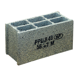 bloc-creux-500x200x250-b60-50-pal-ppl|Blocs béton (parpaings)
